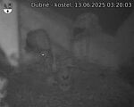 Capi_Dubne_20250613_032003.jpg