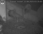 Capi_Dubne_20250613_033503.jpg