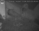 Capi_Dubne_20250613_034503.jpg