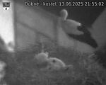 Capi_Dubne_20250613_215502.jpg