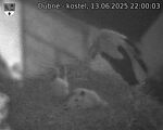 Capi_Dubne_20250613_220003.jpg