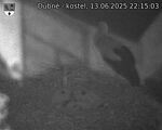 Capi_Dubne_20250613_221503.jpg