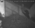 Capi_Dubne_20250613_222002.jpg