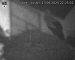 Capi_Dubne_20250613_222503.jpg