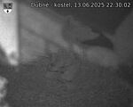 Capi_Dubne_20250613_223002.jpg