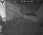 Capi_Dubne_20250613_223502.jpg