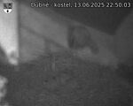 Capi_Dubne_20250613_225003.jpg
