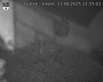 Capi_Dubne_20250613_225502.jpg