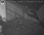 Capi_Dubne_20250613_231002.jpg