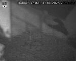 Capi_Dubne_20250613_233003.jpg