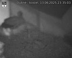 Capi_Dubne_20250613_233503.jpg