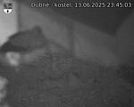Capi_Dubne_20250613_234503.jpg