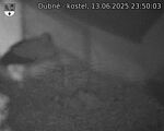 Capi_Dubne_20250613_235003.jpg