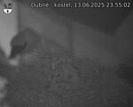 Capi_Dubne_20250613_235502.jpg