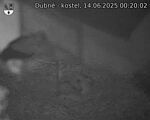 Capi_Dubne_20250614_002002.jpg