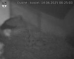 Capi_Dubne_20250614_002503.jpg