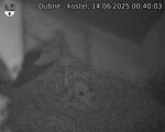 Capi_Dubne_20250614_004003.jpg