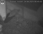 Capi_Dubne_20250614_004502.jpg