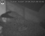 Capi_Dubne_20250614_005502.jpg