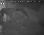 Capi_Dubne_20250614_010003.jpg