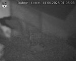 Capi_Dubne_20250614_010503.jpg