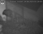 Capi_Dubne_20250614_012003.jpg
