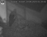 Capi_Dubne_20250614_012502.jpg