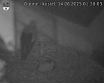 Capi_Dubne_20250614_013003.jpg