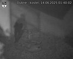 Capi_Dubne_20250614_014002.jpg