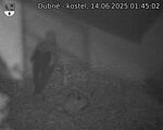 Capi_Dubne_20250614_014502.jpg