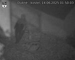 Capi_Dubne_20250614_015003.jpg