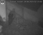 Capi_Dubne_20250614_021502.jpg