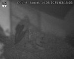 Capi_Dubne_20250614_031503.jpg