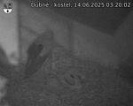 Capi_Dubne_20250614_032002.jpg