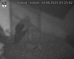 Capi_Dubne_20250614_032502.jpg