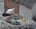 Capi_Dubne_20250614_152003.jpg