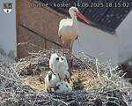 Capi_Dubne_20250614_181502.jpg