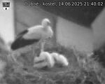 Capi_Dubne_20250614_214002.jpg