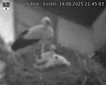 Capi_Dubne_20250614_214503.jpg