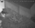Capi_Dubne_20250614_220502.jpg