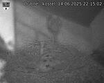 Capi_Dubne_20250614_221502.jpg