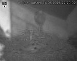 Capi_Dubne_20250614_222002.jpg
