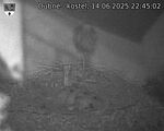 Capi_Dubne_20250614_224502.jpg