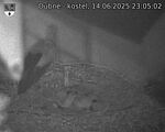 Capi_Dubne_20250614_230502.jpg