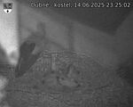 Capi_Dubne_20250614_232502.jpg