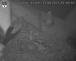 Capi_Dubne_20250615_014002.jpg