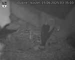 Capi_Dubne_20250615_033503.jpg