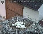 Capi_Dubne_20250615_211503.jpg