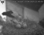 Capi_Dubne_20250615_214503.jpg
