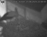 Capi_Dubne_20250615_220003.jpg